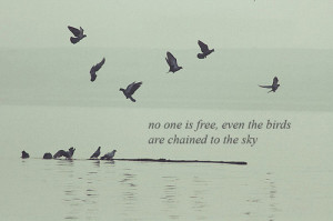 No One is Free-Tumblr Quotes