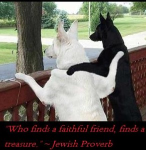 faithful friends like treasure - Friendship quotes