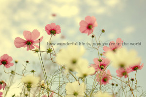 Wonderful Life-Tumblr Quotes