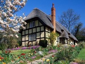 Amazing House, Best Theme - Spring Wallpaper