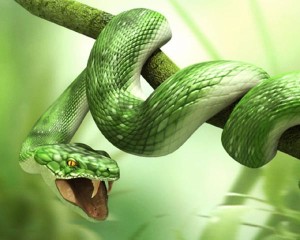 Snake Catching Prey - 3D Wallpaper