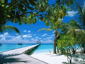 Exotic Location - Beach Wallpapers