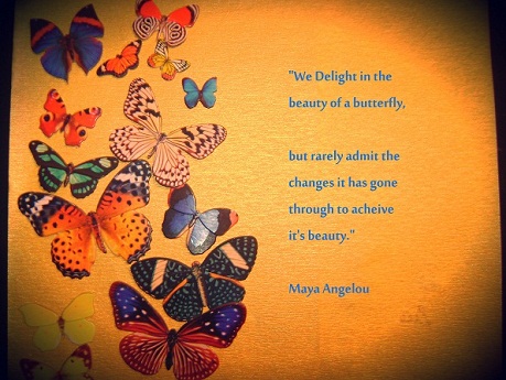 Delightful Butterfly - Maya Angelou Quotes