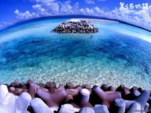 Exotic Live Coral Beach - Beach Wallpapers