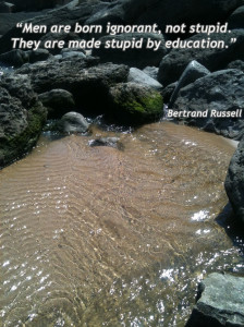 Stupid By Education - Wisdom Quotes