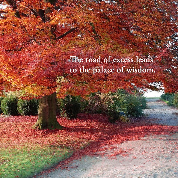 Road Of Excess - Wisdom Quotes