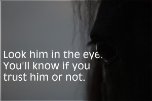 A Horse's Eye, Look In Eyes - Trust Quote