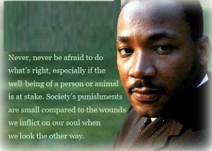 Never Be Afraid - Martin Luther King Quotes