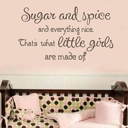 Sugar And Spice - Girl Quotes