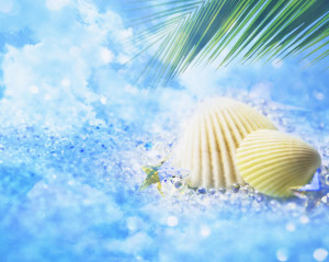 WOW Seashells - Backgrounds for Twitter and iPhone