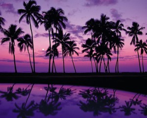 Purple Beach, Dashing View - Purple Wallpapers
