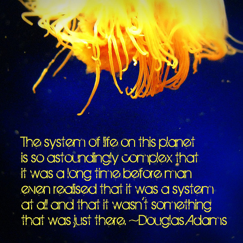 System Of Life - Douglas Adams Quotes