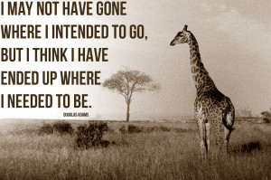 Where I Intended To Go - Douglas Adams Quotes