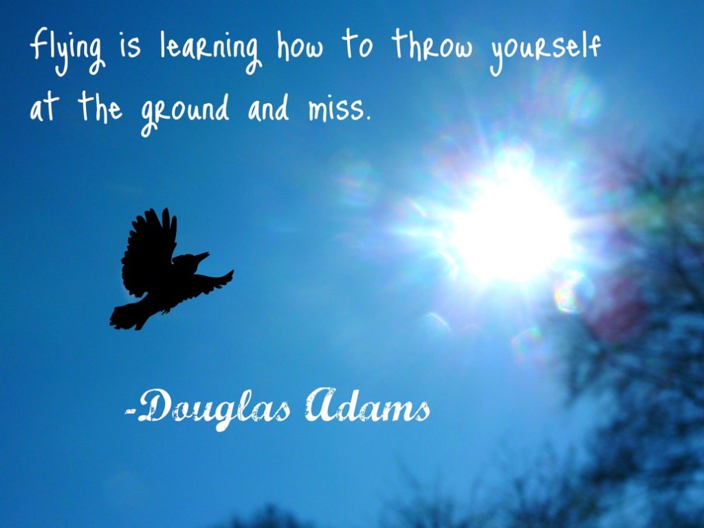 Flying High - Douglas Adams Quotes