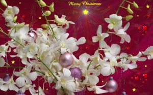 Merry Christmas with flowers - Christmas Wallpapers