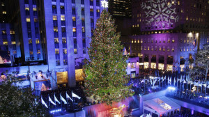 Long bar - Christmas Tree