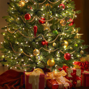 Beautifully decorated - Christmas Tree