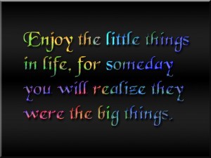 Enjoy Little Thing of Life - Quotes About Life