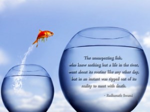 Life In The River - Quote About Death
