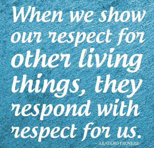 What we sow, it returns back - Quotes About Respect