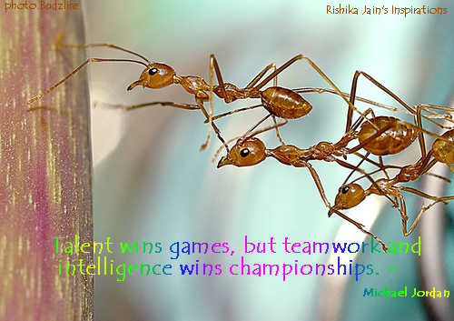 Wins Games inspiring team quotes