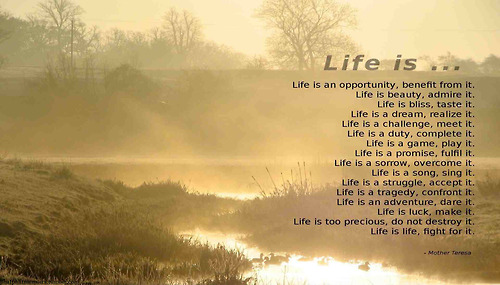 Click to share Life Is Best wise saying about life