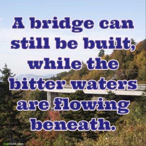 bridge-can-still-be-built