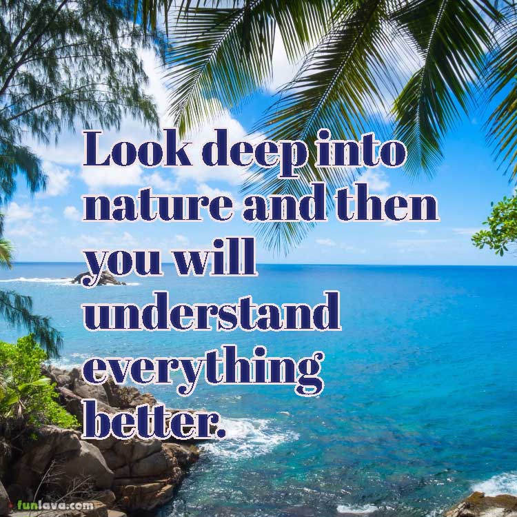 look-deep-into-nature