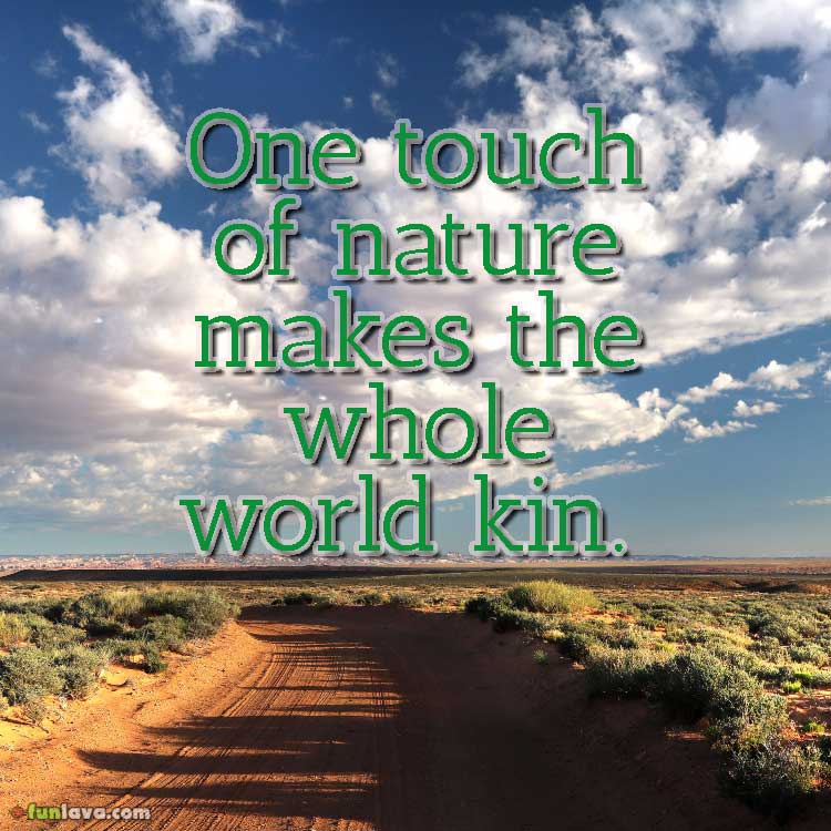 one-touch-of-nature