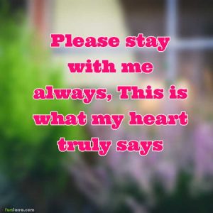 stay-with-me