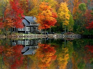 Beautiful Lake - Autumn Leaves