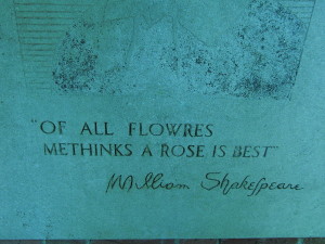 Rose Is Best - Shakespeare Quotes