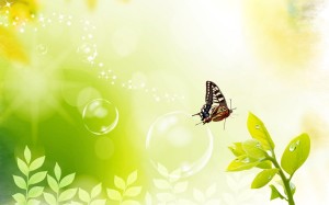 Best Desktop Theme, Butterfly - Spring Wallpaper