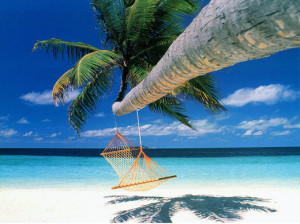 Exotic Love Tree with Hammock - Beach Wallpapers
