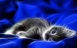 Lazy Dreaming Cat - 3D Wallpaper