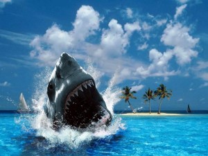 I will Catch you, Shark - 3D Wallpaper