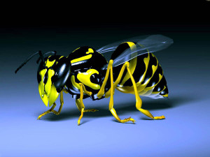 Robotic Bee - 3D Wallpaper