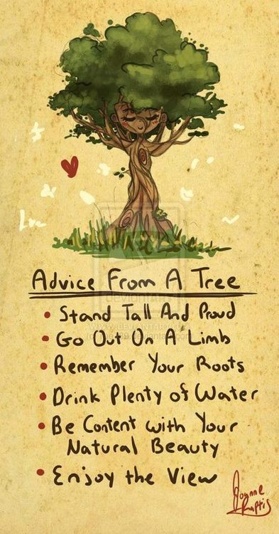 Advice from Tree - Wisdom Quotes