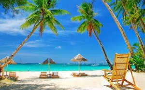 Wild Vacation - Beach Wallpapers