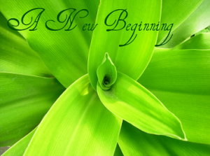 A New Beginning - Encouragement Quotes