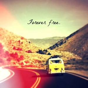 Forever FREE - Tumblr Backgrounds