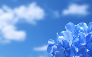 Delightful Blue Sky - Blue Backgrounds
