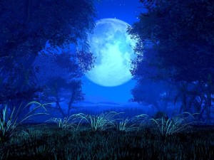 Cool Blue Night - Blue Backgrounds