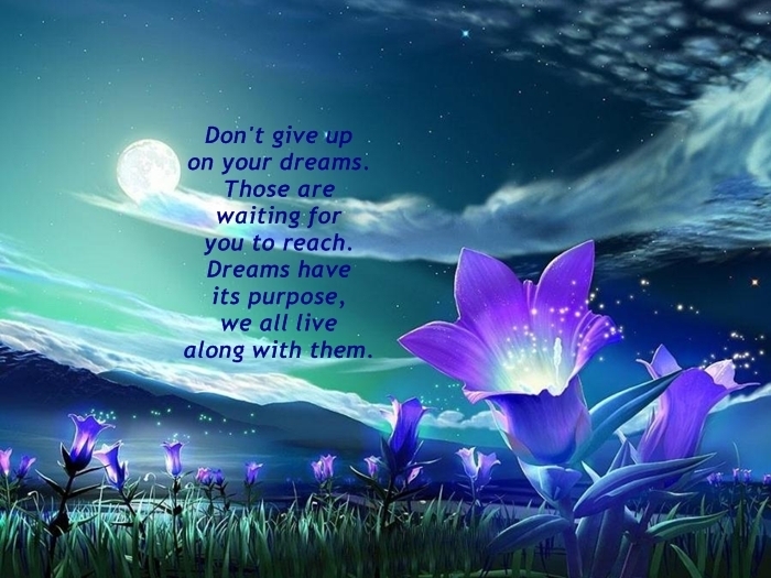 Don’t Give Up Your Dream - Dream Quotes
