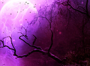 Forest in Purple shade, Beautiful Tree - Purple Wallpapers