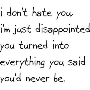 I Don’t Hate You - I Hate You Quotes