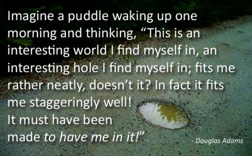 Imagine Puddle - Douglas Adams Quotes