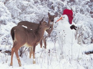 Iceman and deer in snow - Christmas Wallpapers