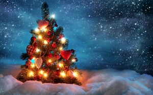 Lovely decoration - Christmas Tree