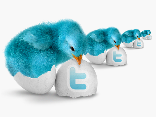 Blue Bird Twitter Icon - Twitter Backgrounds